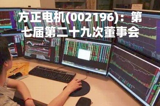 方正电机(002196)：第七届第二十九次董事会会议决议，审议《关于向银行申请授信额度的议案》等多项议案