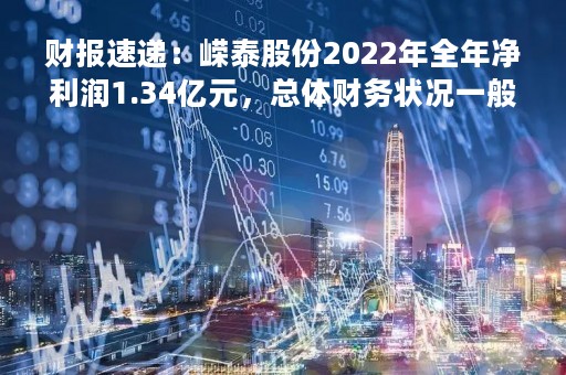 财报速递：嵘泰股份2022年全年净利润1.34亿元，总体财务状况一般