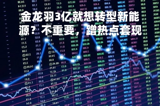 金龙羽3亿就想转型新能源？不重要，蹭热点套现才是王道，深交所：你们要点脸吧