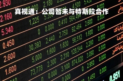 真视通：公司暂未与特斯拉合作