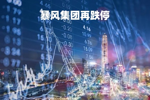 暴风集团再跌停
