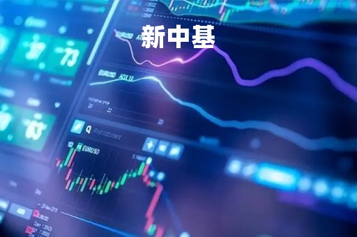 新中基「新中基 000972」