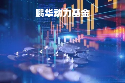 鹏华动力基金「鹏华动力基金2023年分红情况」