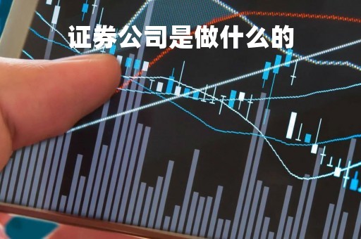 证券公司是做什么的「证券公司排名前十」