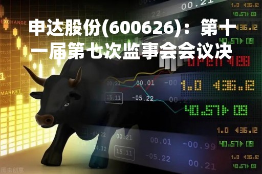 申达股份(600626)：第十一届第七次监事会会议决议，6项议案获通过