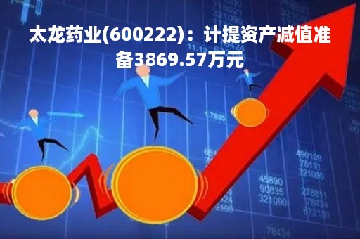 太龙药业(600222)：计提资产减值准备3869.57万元