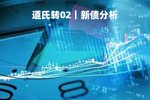 道氏转02｜新债分析