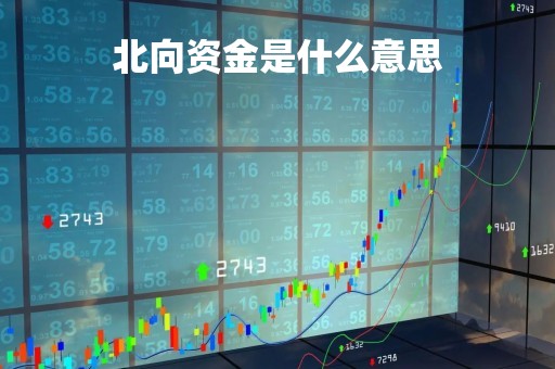北向资金是什么意思「北向资金实时查询」