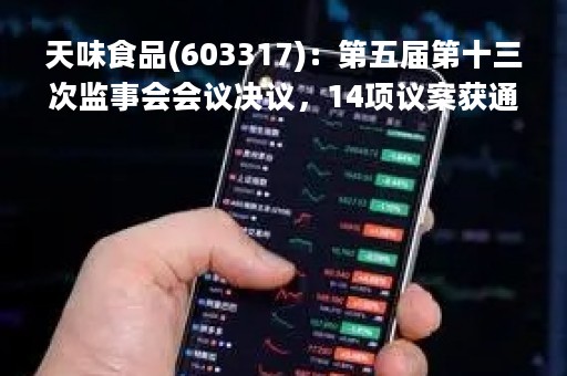 天味食品(603317)：第五届第十三次监事会会议决议，14项议案获通过