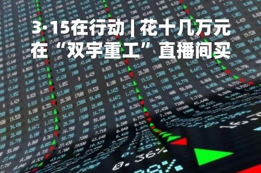 3·15在行动 | 花十几万元在“双宇重工”直播间买的装载机，不到一年全报废！