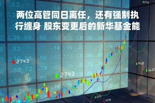 两位高管同日离任，还有强制执行缠身 股东变更后的新华基金能否迎来新篇章？