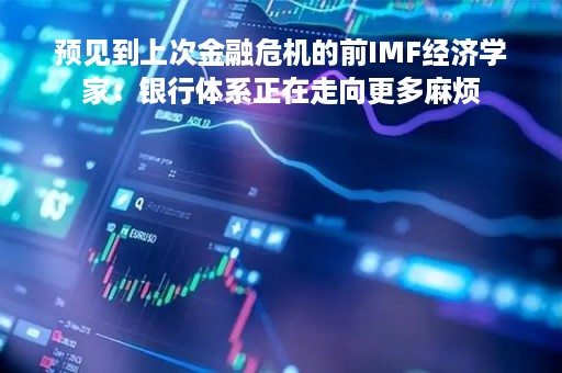 预见到上次金融危机的前IMF经济学家：银行体系正在走向更多麻烦