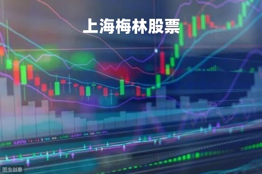 上海梅林股票「上海梅林股票行情」