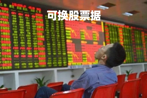 可换股票据「可兑换股票」