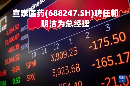宣泰医药(688247.SH)聘任郭明洁为总经理