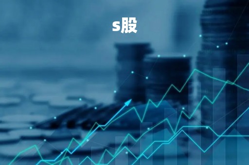 s股「s股是什么股票」