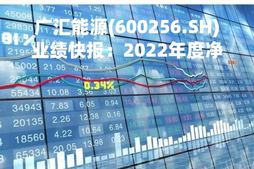 广汇能源(600256.SH)业绩快报：2022年度净利润113.38亿元 增长126.61%