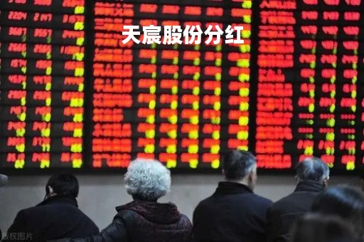 天宸股份分红「天宸股份主营业务」