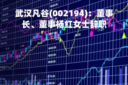 武汉凡谷(002194)：董事长、董事杨红女士辞职