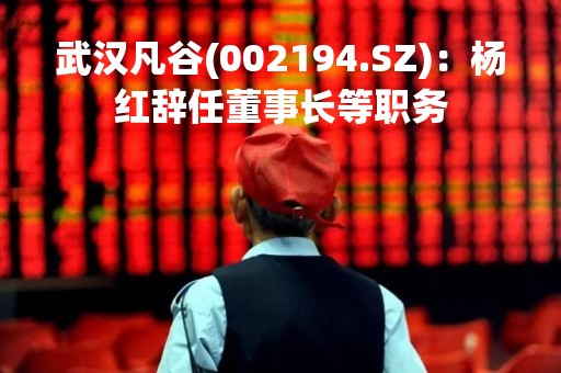 武汉凡谷(002194.SZ)：杨红辞任董事长等职务