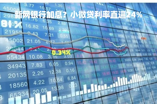 新网银行加息？小微贷利率直逼24%