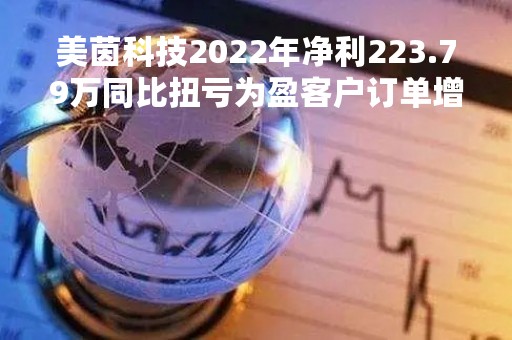 美茵科技2022年净利223.79万同比扭亏为盈客户订单增加
