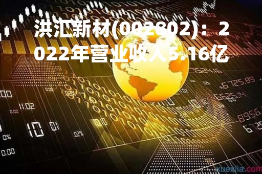 洪汇新材(002802)：2022年营业收入5.16亿元，与上期同比减少31.07%