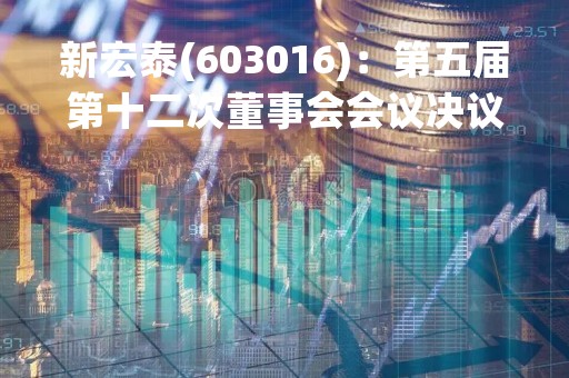 新宏泰(603016)：第五届第十二次董事会会议决议，审议《关于选举公司董事长、副董事长的议案》等多项议案