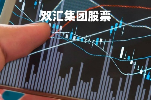 双汇集团股票「双汇集团股票分析」