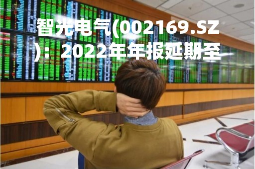 智光电气(002169.SZ)：2022年年报延期至4月29日披露