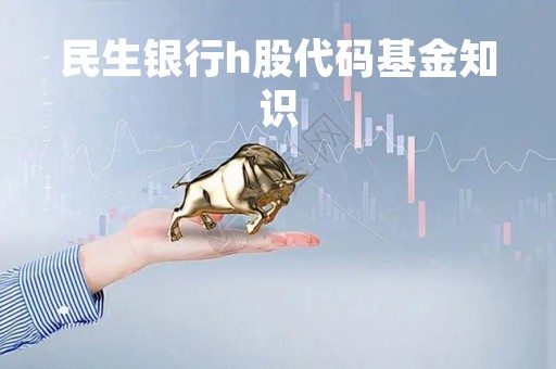 民生银行h股代码基金知识「民生银行h股上市时间」