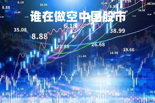 谁在做空中国股市「做空最厉害的人」