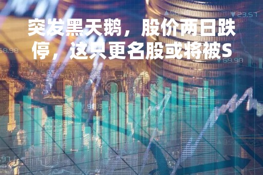 突发黑天鹅，股价两日跌停，这只更名股或将被ST！定增募资额翻倍增长，“聪明资金”盯上这些定增绩优股