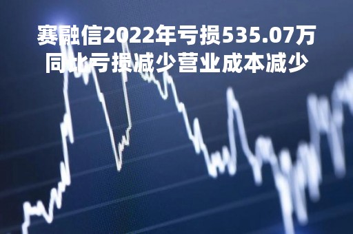赛融信2022年亏损535.07万同比亏损减少营业成本减少