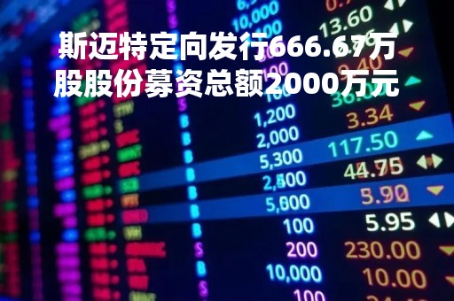 斯迈特定向发行666.67万股股份募资总额2000万元