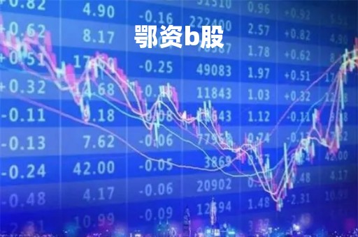 鄂资b股「鄂资b股的行情」
