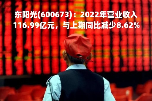 东阳光(600673)：2022年营业收入116.99亿元，与上期同比减少8.62%
