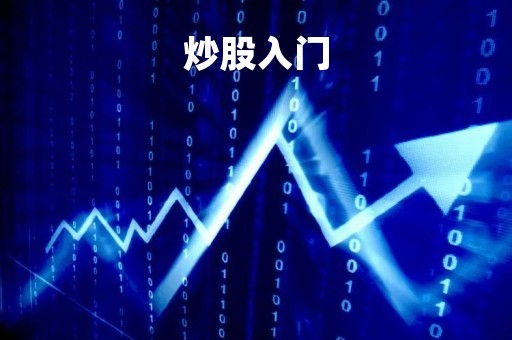 炒股入门「炒股入门应该学什么」