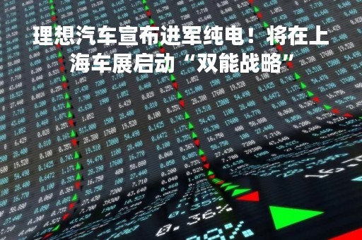 理想汽车宣布进军纯电！将在上海车展启动“双能战略”