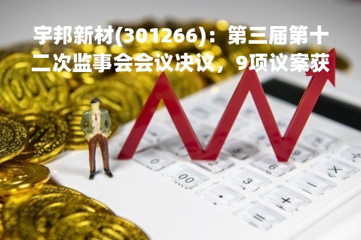 宇邦新材(301266)：第三届第十二次监事会会议决议，9项议案获通过