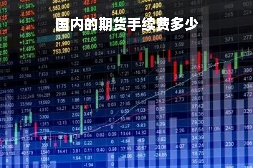 国内的期货手续费多少