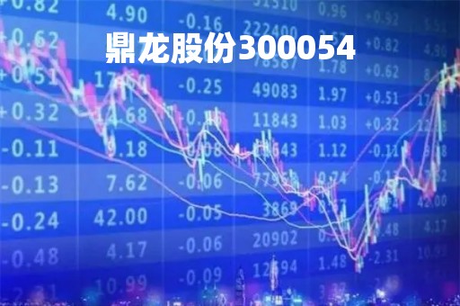 鼎龙股份300054「鼎龙股份公司简介」