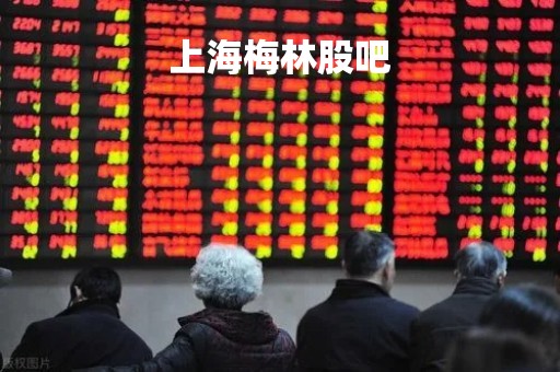 上海梅林股吧