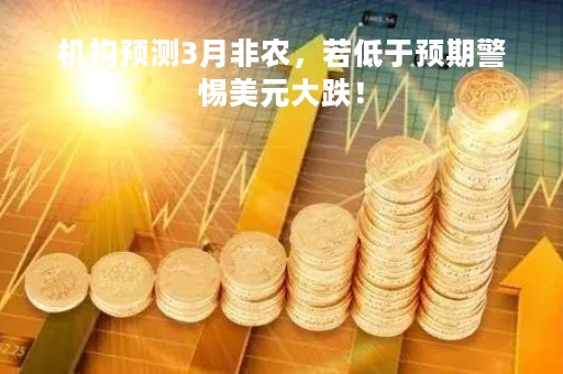 机构预测3月非农，若低于预期警惕美元大跌！