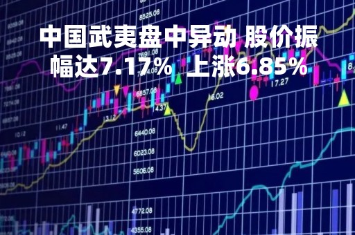 中国武夷盘中异动 股价振幅达7.17%  上涨6.85%