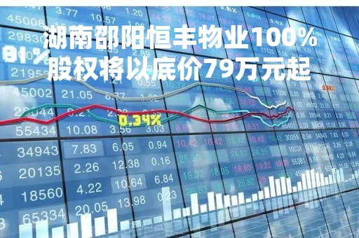 湖南邵阳恒丰物业100%股权将以底价79万元起拍