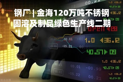 钢厂 | 金海120万吨不锈钢固溶及制品绿色生产线二期设备正在安装调试