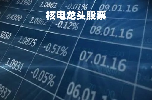 核电龙头股票