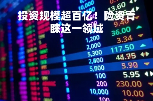 投资规模超百亿！险资青睐这一领域