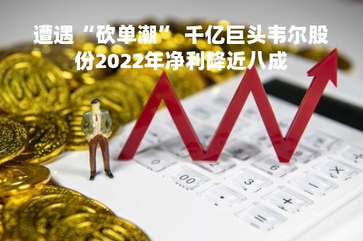 遭遇“砍单潮” 千亿巨头韦尔股份2022年净利降近八成